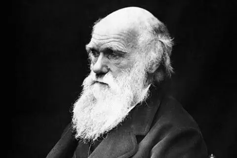 Genética y comportamiento, en el día de Darwin