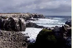 Un Buen Lugar Donde Pasar las Vacaciones
