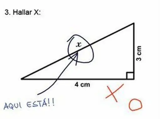 Las 10 respuestas divertidas de exámenes