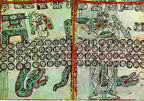 conocelas