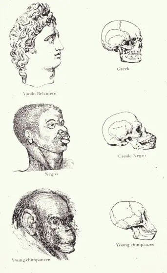 ciencia