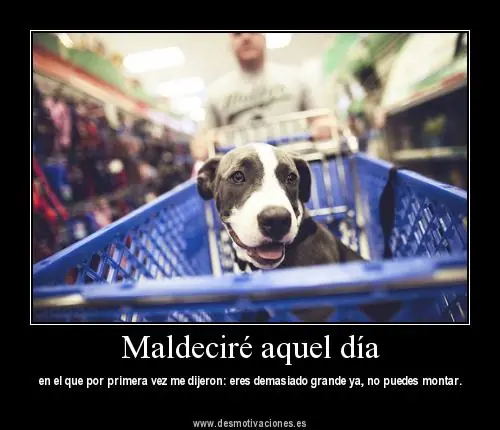 Sociedad