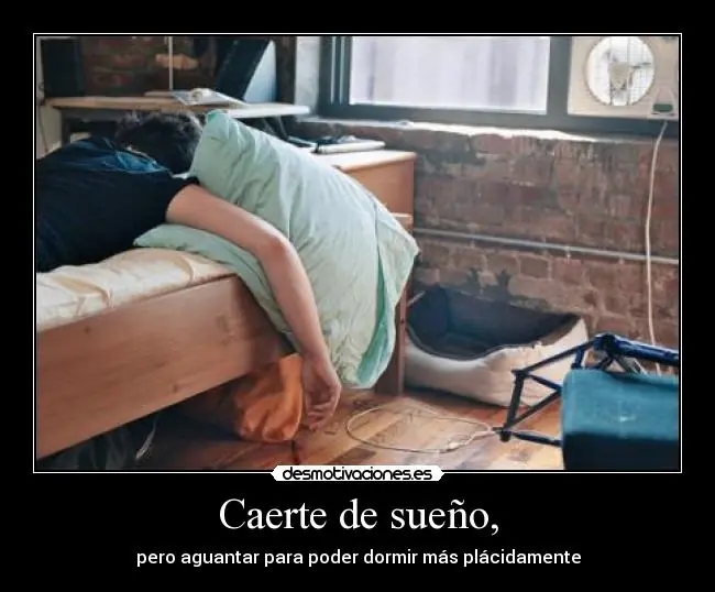 Vida cotidiana