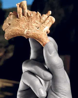 En busca de la especie 'Ñ'