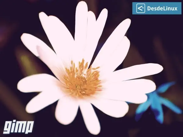 Tutorial para crear un Efecto “Vintage”