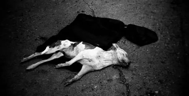 [Asesinos en Serie] Yoo Young-Chul (Parte 1)