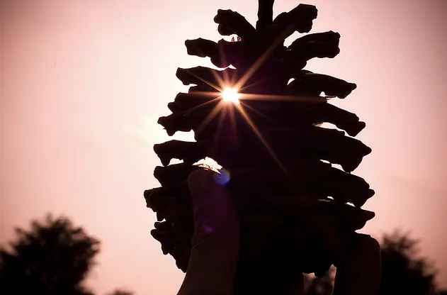 el ojo en el cielo: la conexión magnética entre el sol y l