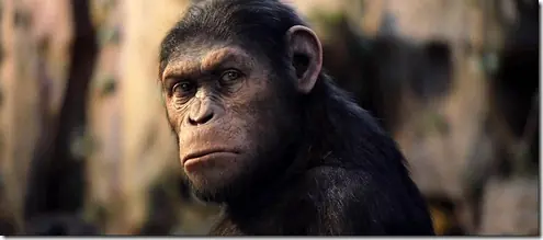 ¿Qué pasaría si hubiera en la Tierra otra especie intelig