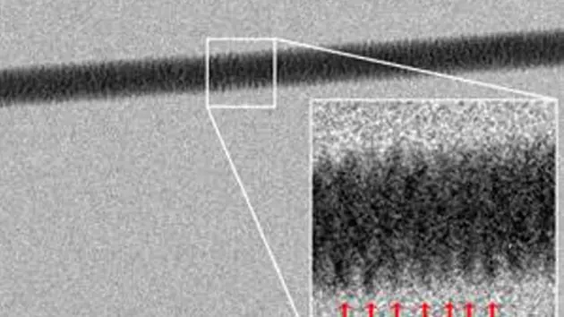 Toman la primera imagen directa del ADN