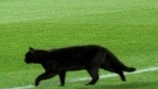 Messi victima de una Maldicion
