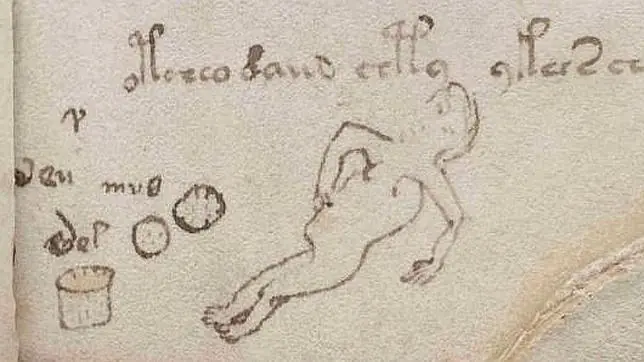 El Manuscrito Voynich, El Inicio