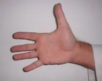 Como cerrar la mano para ejecutar los golpes de puño