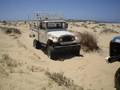 dunas