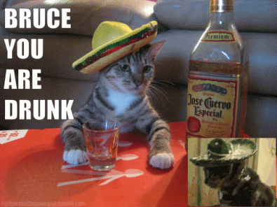 Animales alcoholicos :)