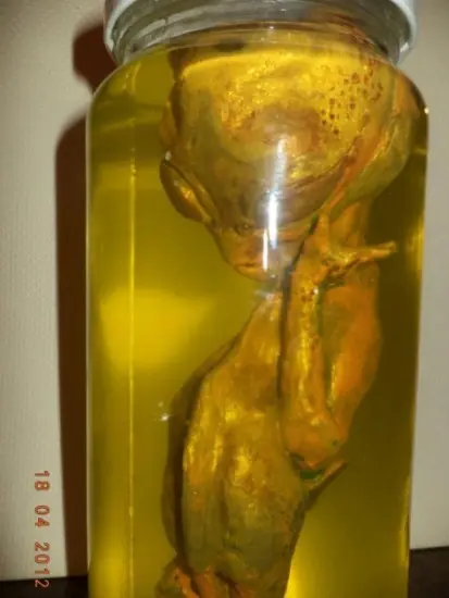 Extraño Ser Encontrado en Chile. EBE o Críptido? Ustedes..