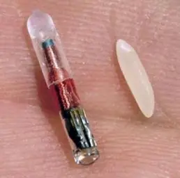 Desmienten que se implante el microchip en personas de Estad