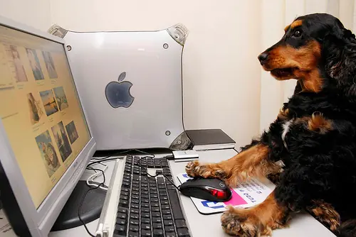 megapost de 10 cosas interesantes que no sabias