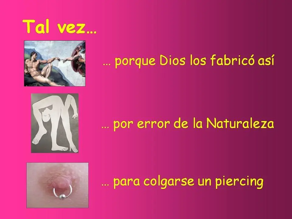 celulas