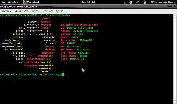 Muestra el logo e info de tu distro en la terminal ScreenFet