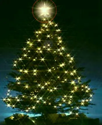 Todo sobre el arbol de navidad