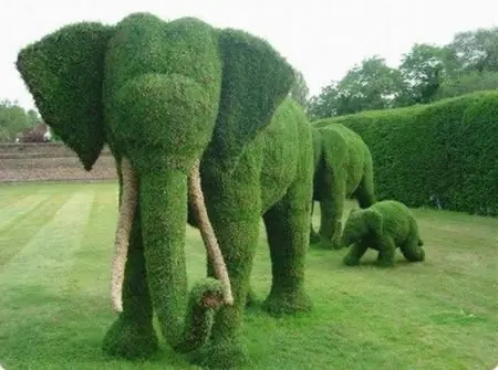 Impresionante arte en gras