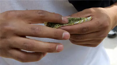 El consumo de marihuana disminuye el C.I.