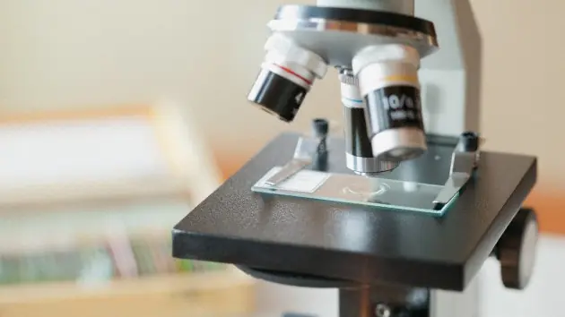 Descubren una molécula contra el cáncer de piel
