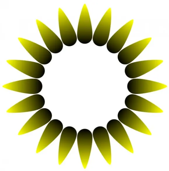 Maluco