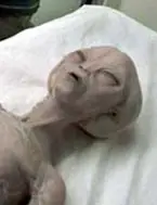 Nos Ocultan Esto Y Mucho Mas (1ª parte)