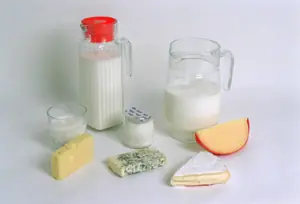 Productos Fermentados