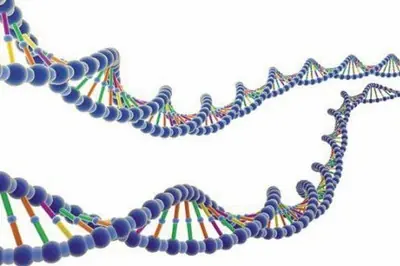 Moléculas de ADN sirven para crear en 3D medicina contra el