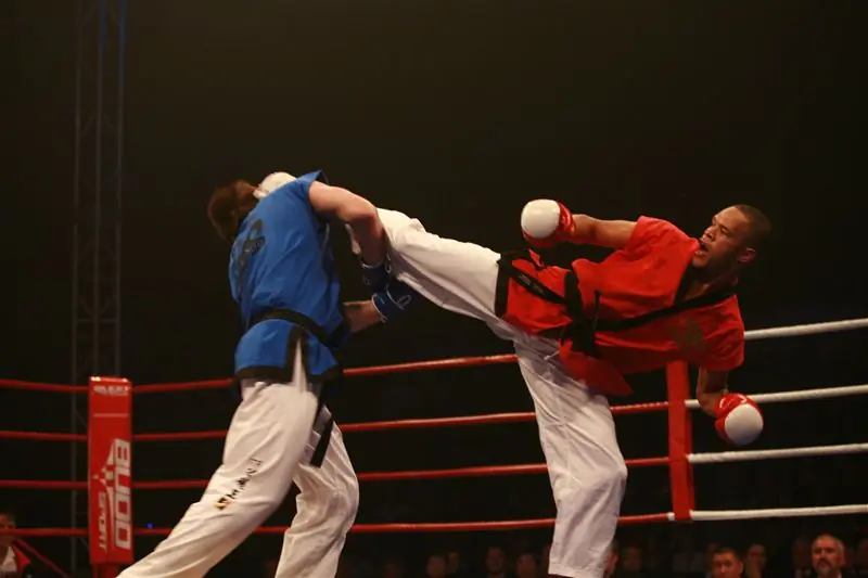 Nuevo Taekwondo ( PRO )