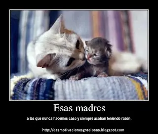 Desmotivaciones graciosas