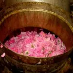 Especias utilizadas en la cocina India