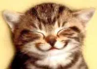 Filosofía y Buen Humor