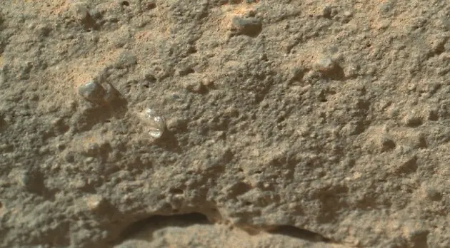 Curiosity encuentra una flor marciana