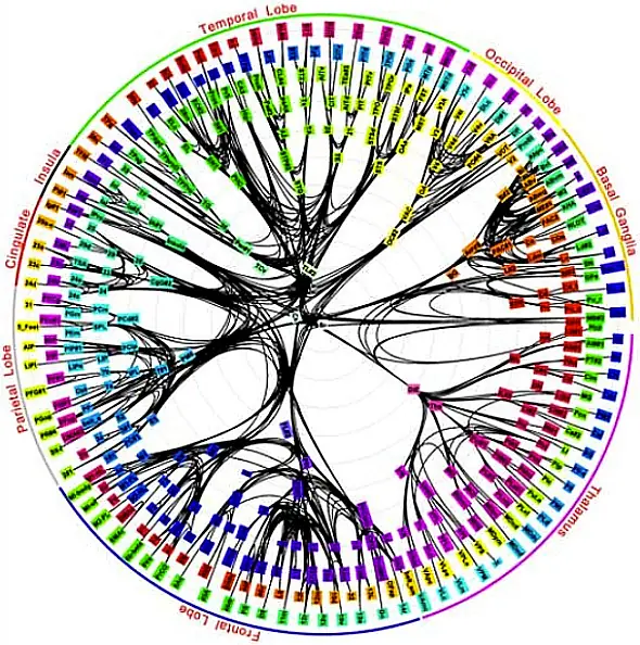 ¿Quieres ver el mapa del cerebro más detallado jamás hech