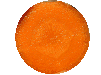 la semejanza de las frutas con nuestro cuerpo