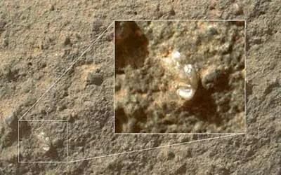 Curiosity:¿Flor en Marte?