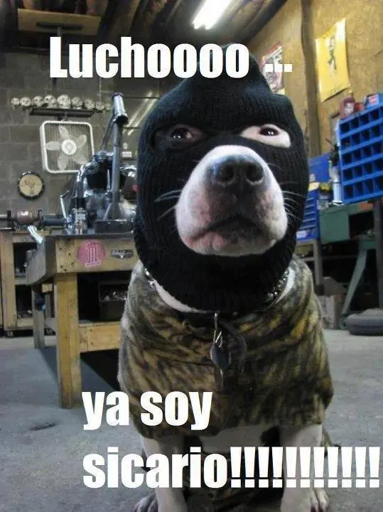 imagenes
