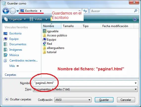 Cómo Hacer Una Página Web bien explicado
