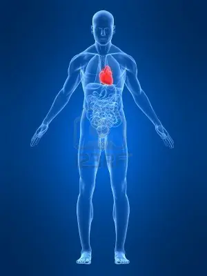 Tips para el cuerpo humano