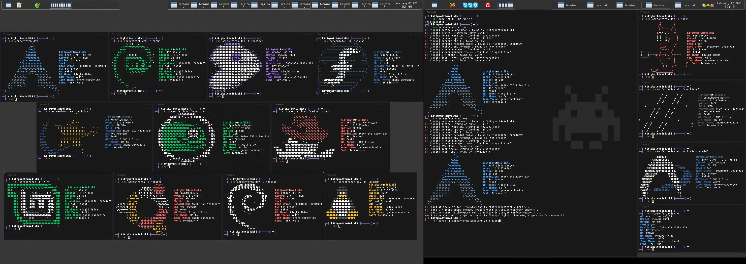 Logo ASCII con detalles de sistema en la terminal
