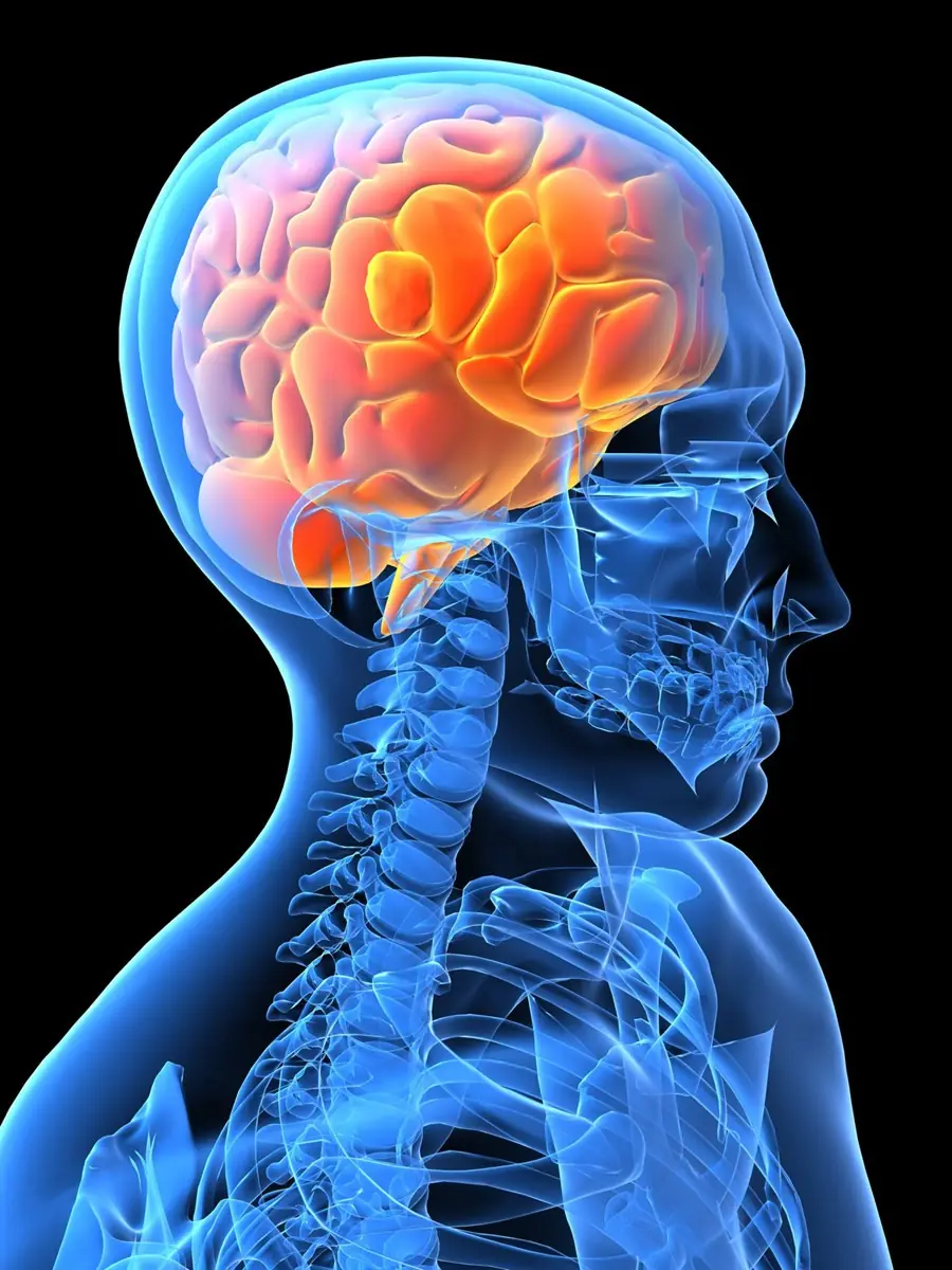 Tu cerebro funciona como una ciudad