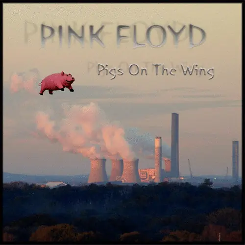 La historia del cerdo de Pink Floyd