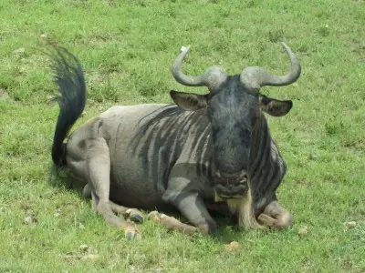 Por qué GNU/Linux es mejor? ~ Medio Ambiente