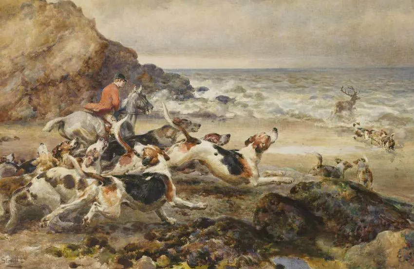 Animales