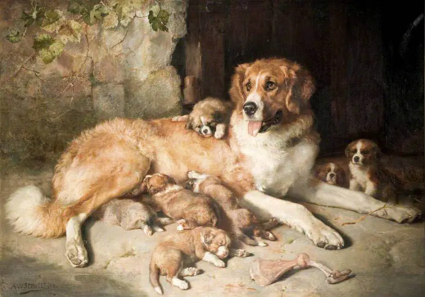 Alfred William Strutt