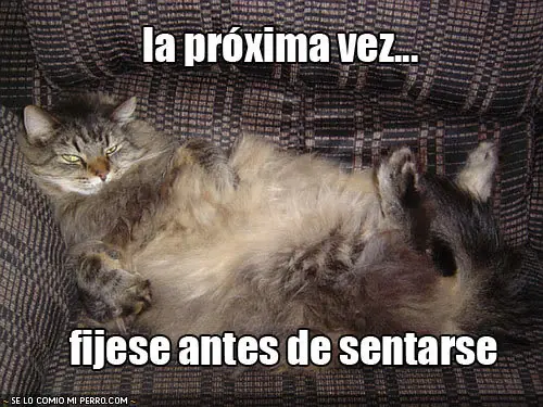 dame dame