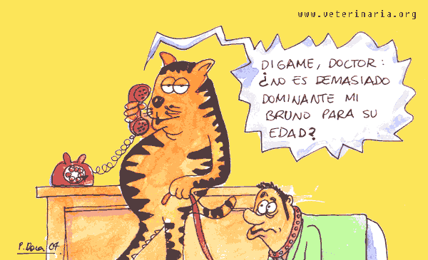 Antifábula que podrían escribir los animales